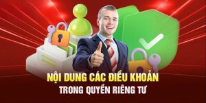 Nội dung chính của chính sách quyền riêng tư ABC8