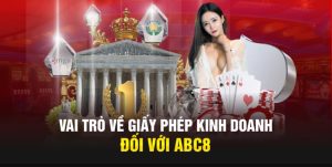 Thông tin chung về giấy phép kinh doanh ABC8