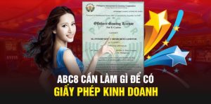 Tổng hợp các giấy phép kinh doanh mà ABC8 đang sở hữu