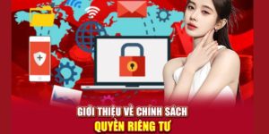 Trách nhiệm cần nắm của hội viên trong chính sách quyền riêng tư