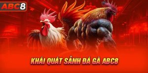 Cách nhận biết chiến kê đá gà ABC8 đáng cược